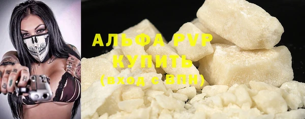 индика Нягань