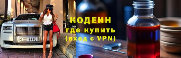 индика Нягань