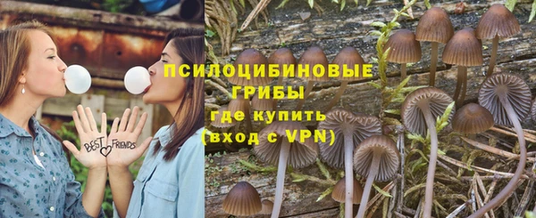 индика Нягань