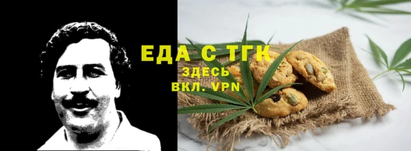 индика Нягань