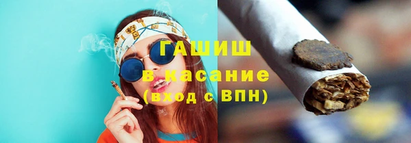 индика Нягань