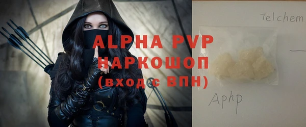 индика Нягань