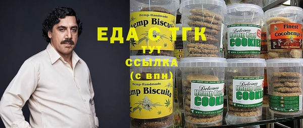 индика Нягань