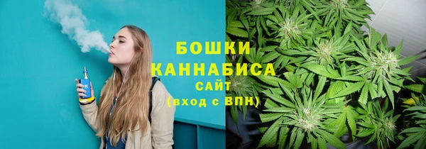 индика Нягань
