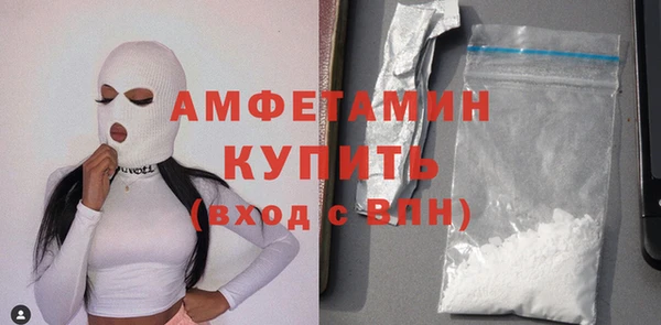 индика Нягань