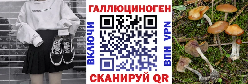Псилоцибиновые грибы мицелий  Ужур 